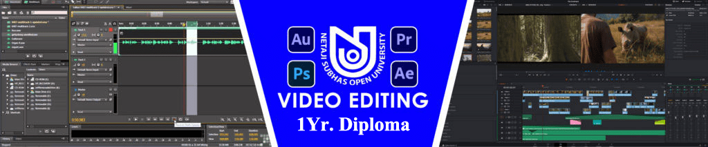 NSOU VIDEO EDITING DIPLOMA